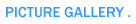 Picture Gallery